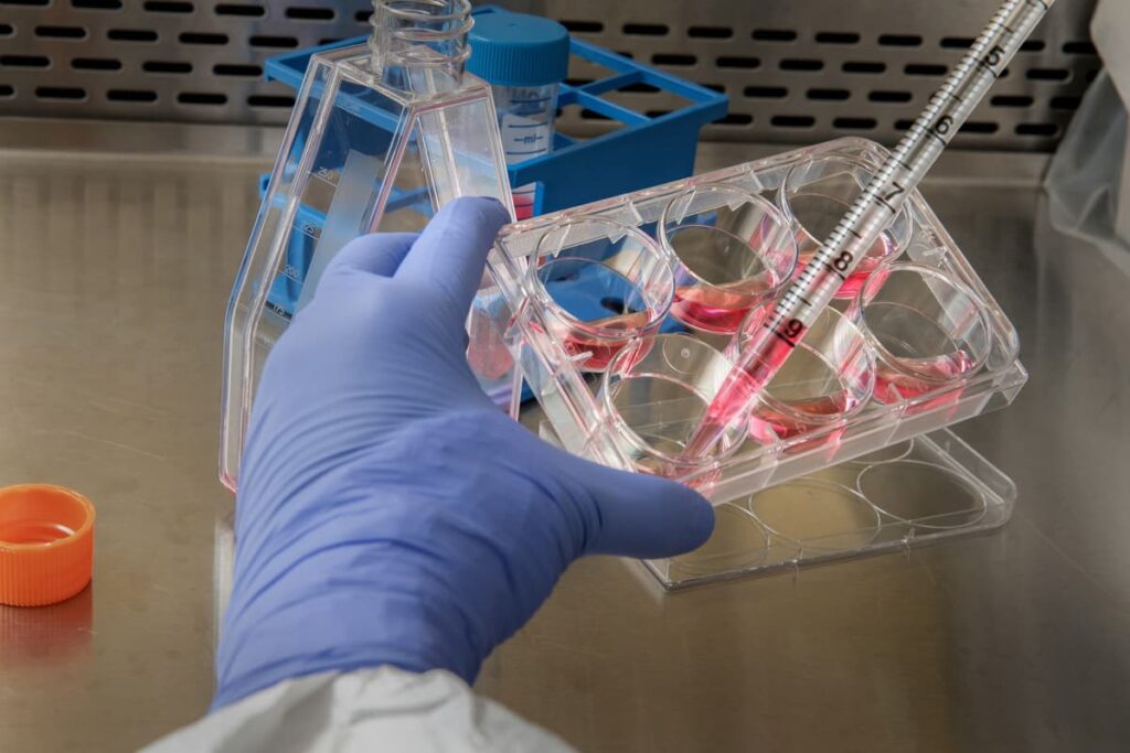 Best laboratory practices for quality research. A hand wearing lab gloves drawing some reddish fluid using a dropper, in a lab.